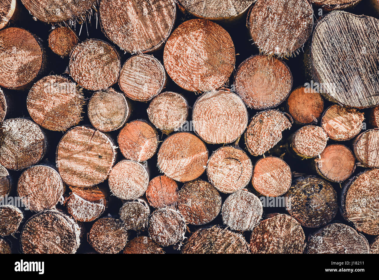 Pile ou pile de grumes de bois de feu naturel texture background. Résumé photo de grumes en bois naturel de texture. Banque D'Images