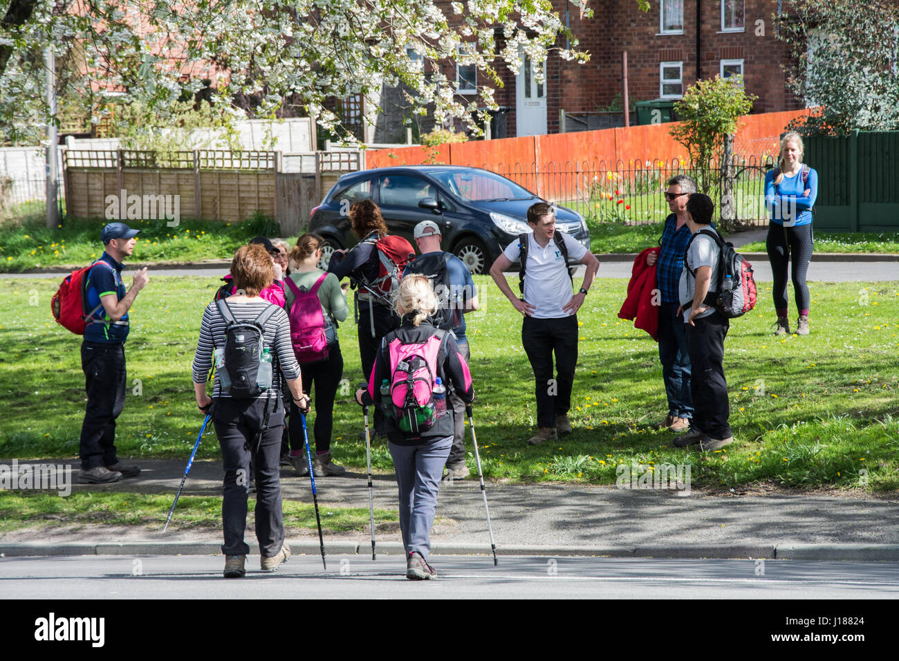 Un groupe de randonneurs reste sous un cherry blossom tree sur une magnifique journée de printemps, le Shropshire, au Royaume-Uni. Banque D'Images