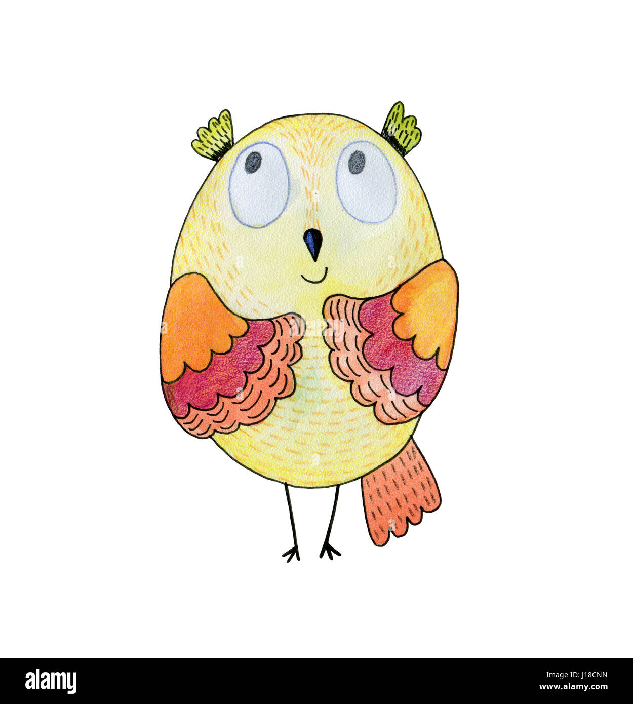Aquarelle Illustration Drôle Avec Owl Dessin Doiseaux à La