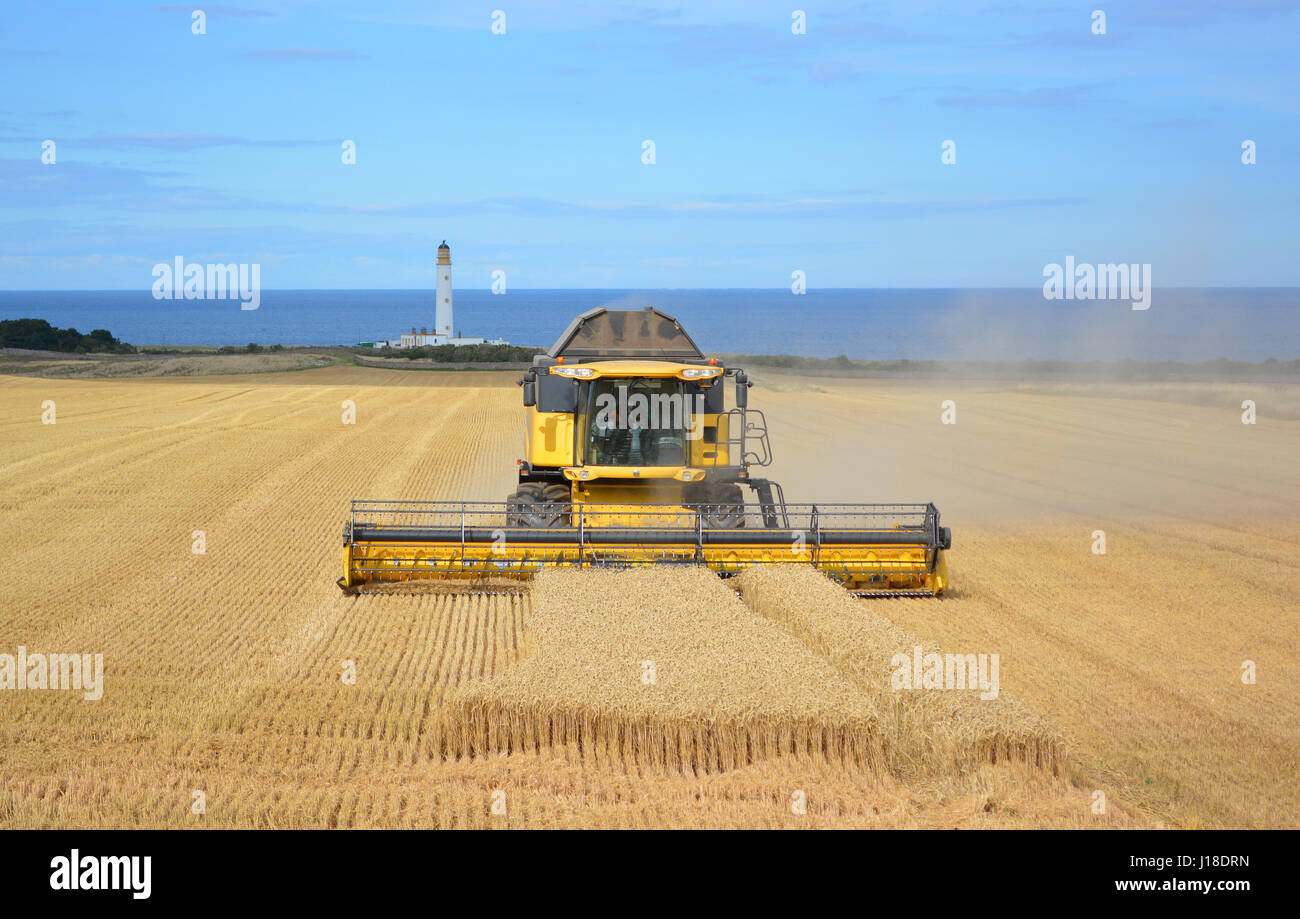 Moissonneuse-batteuse New Holland à Barns Ness, Ecosse Banque D'Images