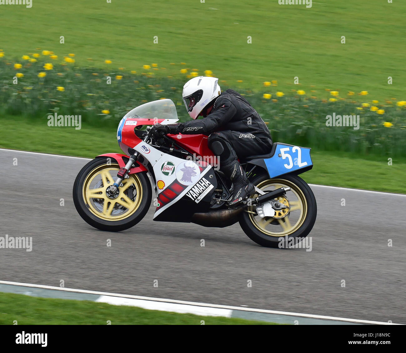 Fred Burbidge, Yamaha TZ350G, Mike Hailwood, Goodwood Trophy membres 75e réunion, mars 2017, Goodwood Motor Circuit, GRRC, sport automobile, nostalgie, Banque D'Images