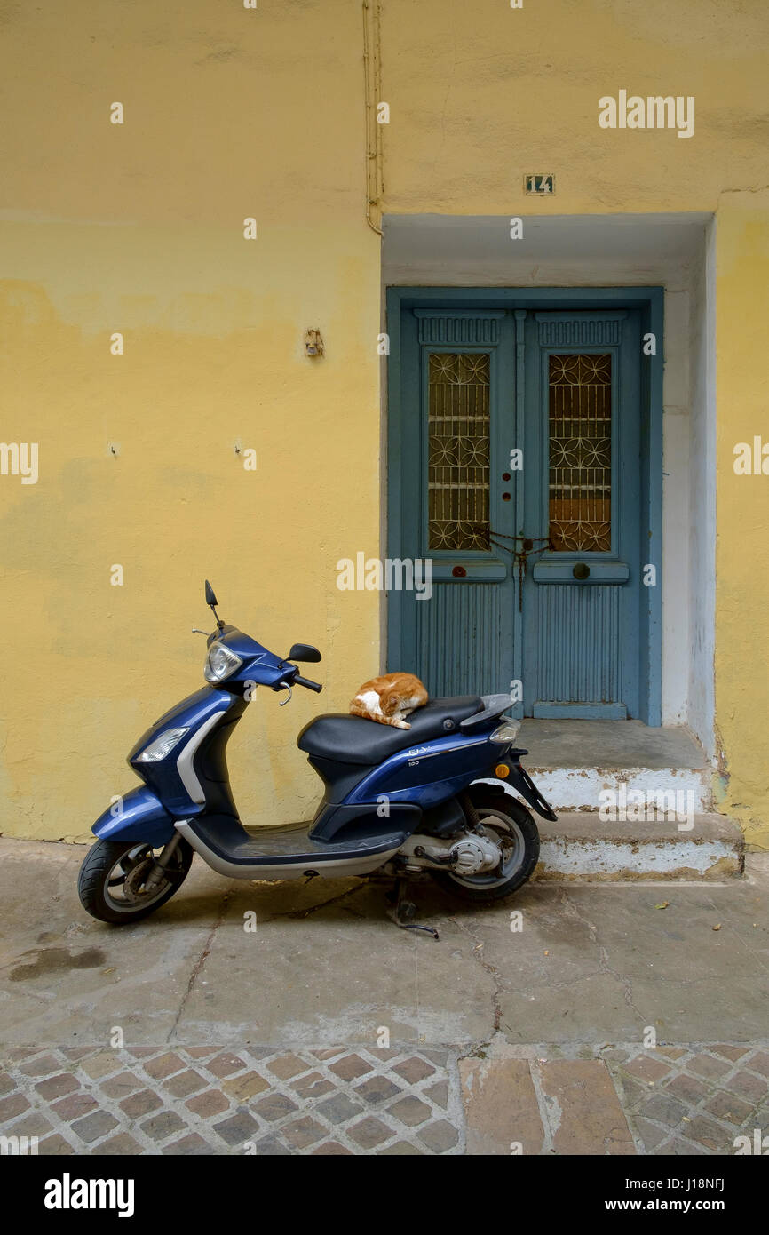 Chat endormi sur un scooter Banque D'Images