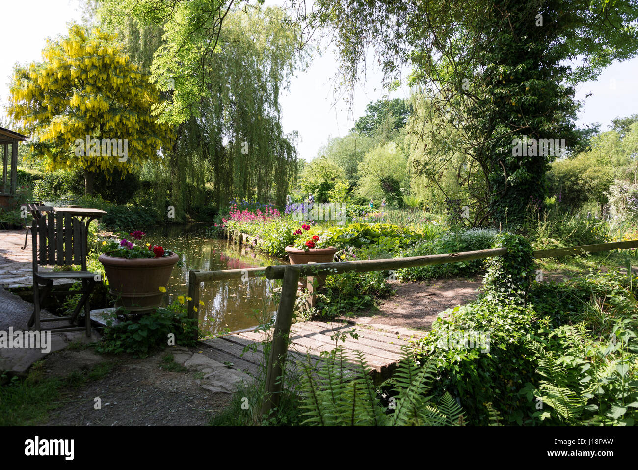 Westonbury au jardin d'eau de l'usine Pembridge dans le Herefordshire, Angleterre. Les visiteurs qui traversent une passerelle sur un ruisseau. Banque D'Images