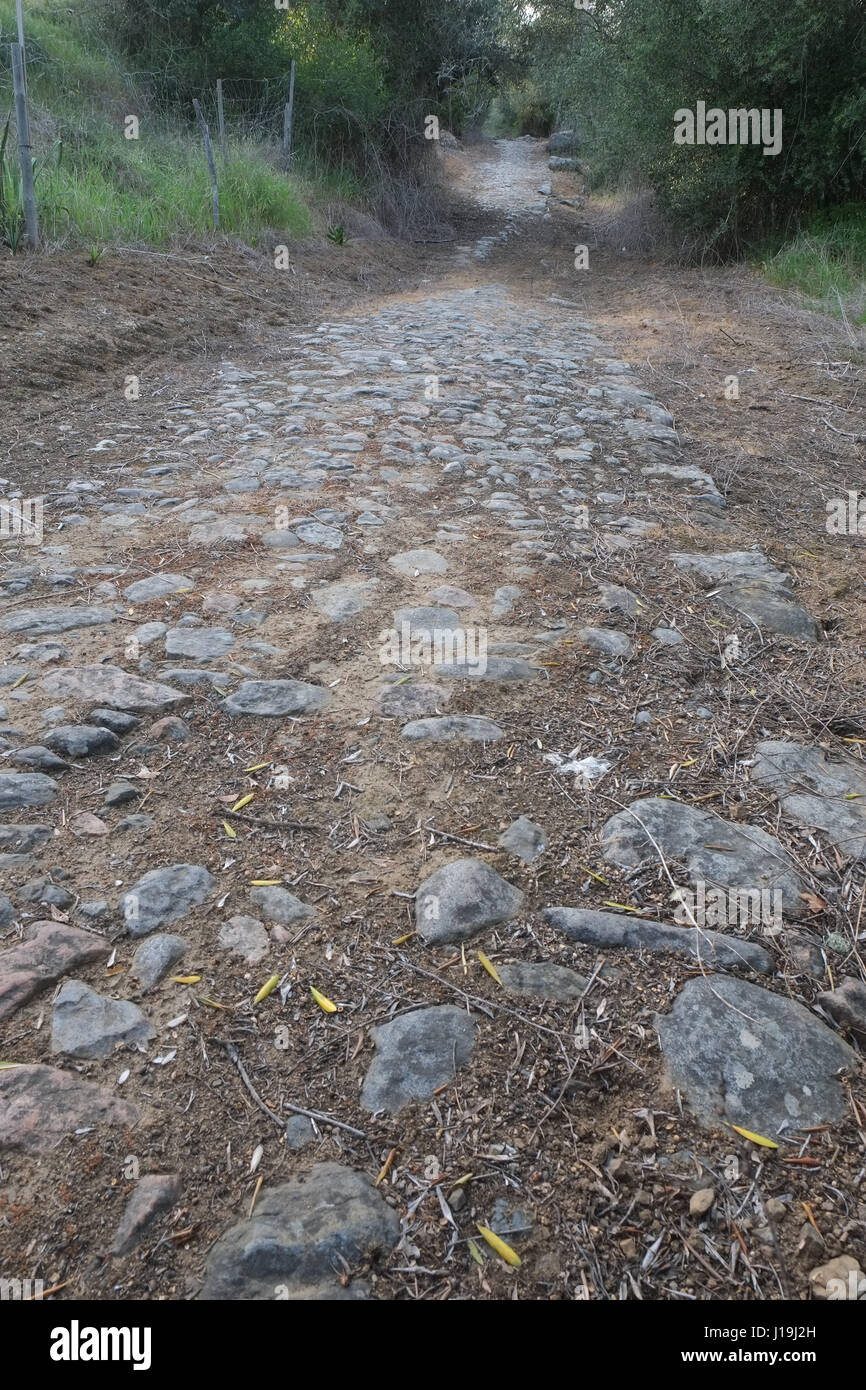 Ancienne voie romaine près de montemor. Alentejo, Portugal Banque D'Images