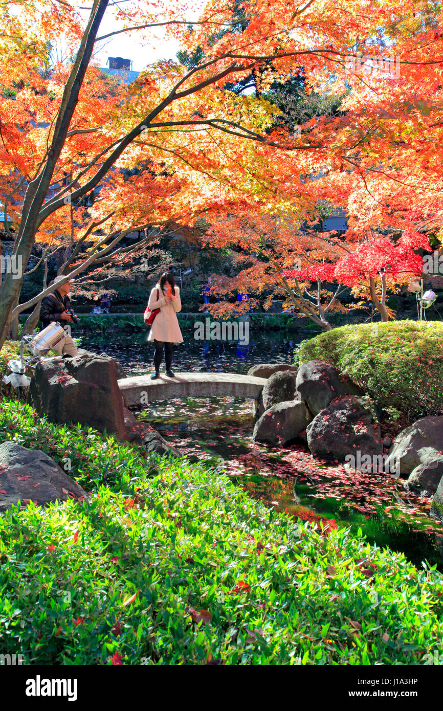 Otaguro Koen Park Autumn Foliage Japon Tokyo Suginami Banque D'Images