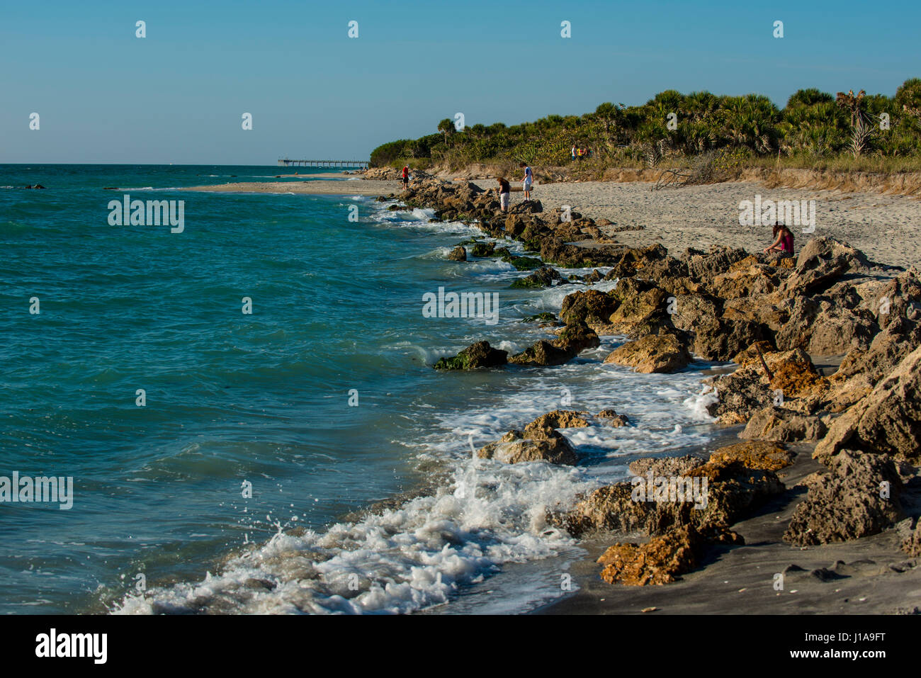 Rocky coast line de Venice Beach en Floride Banque D'Images