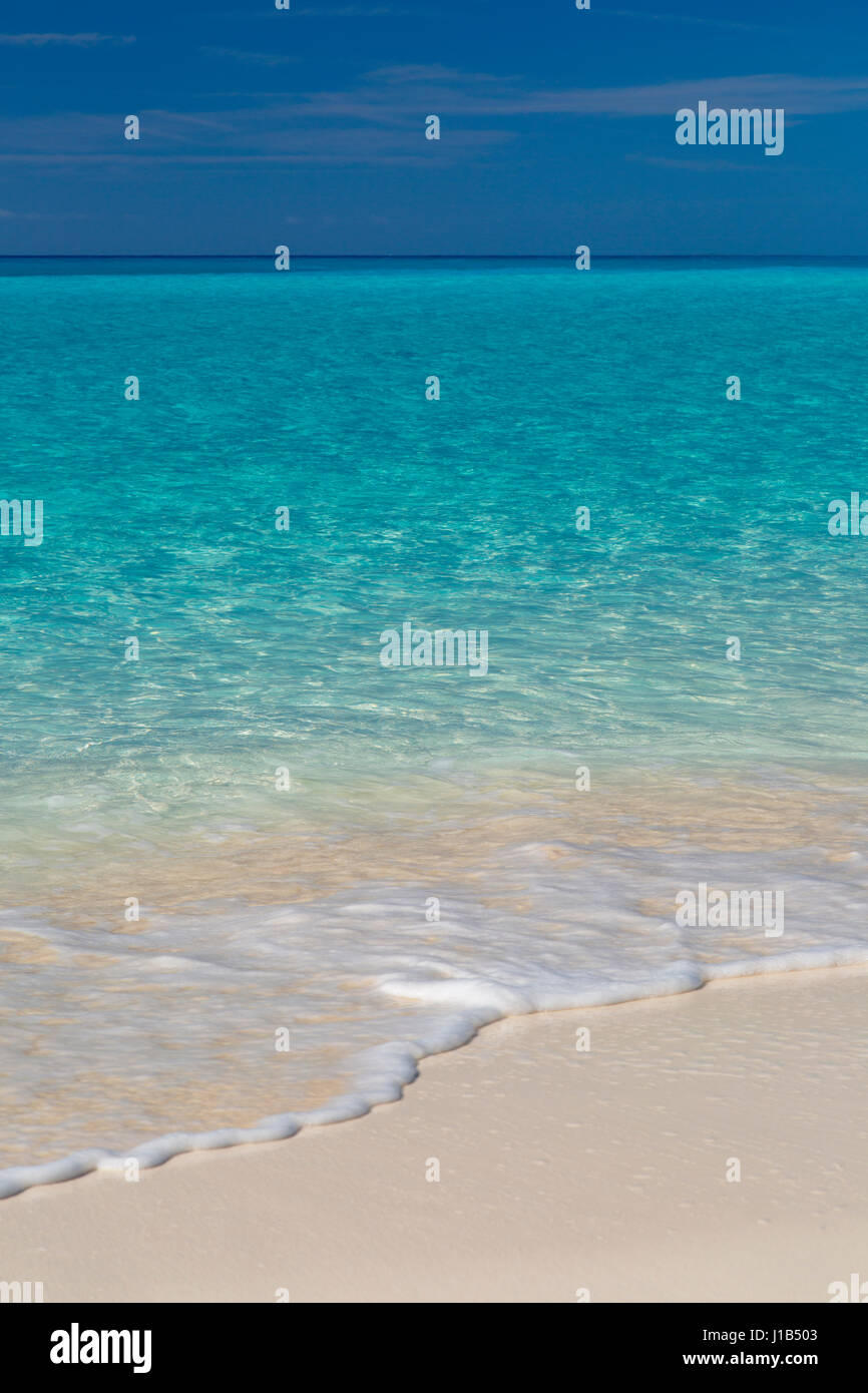 L'eau bleu et vert off the Halfmoon Cay Beach, Bahamas Banque D'Images