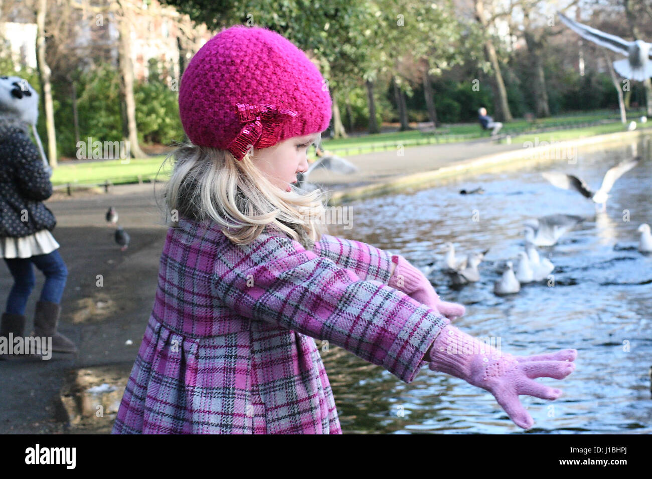 Chez les canards d'enfants dans le parc St Stephen Green, Dublin, Irlande Banque D'Images