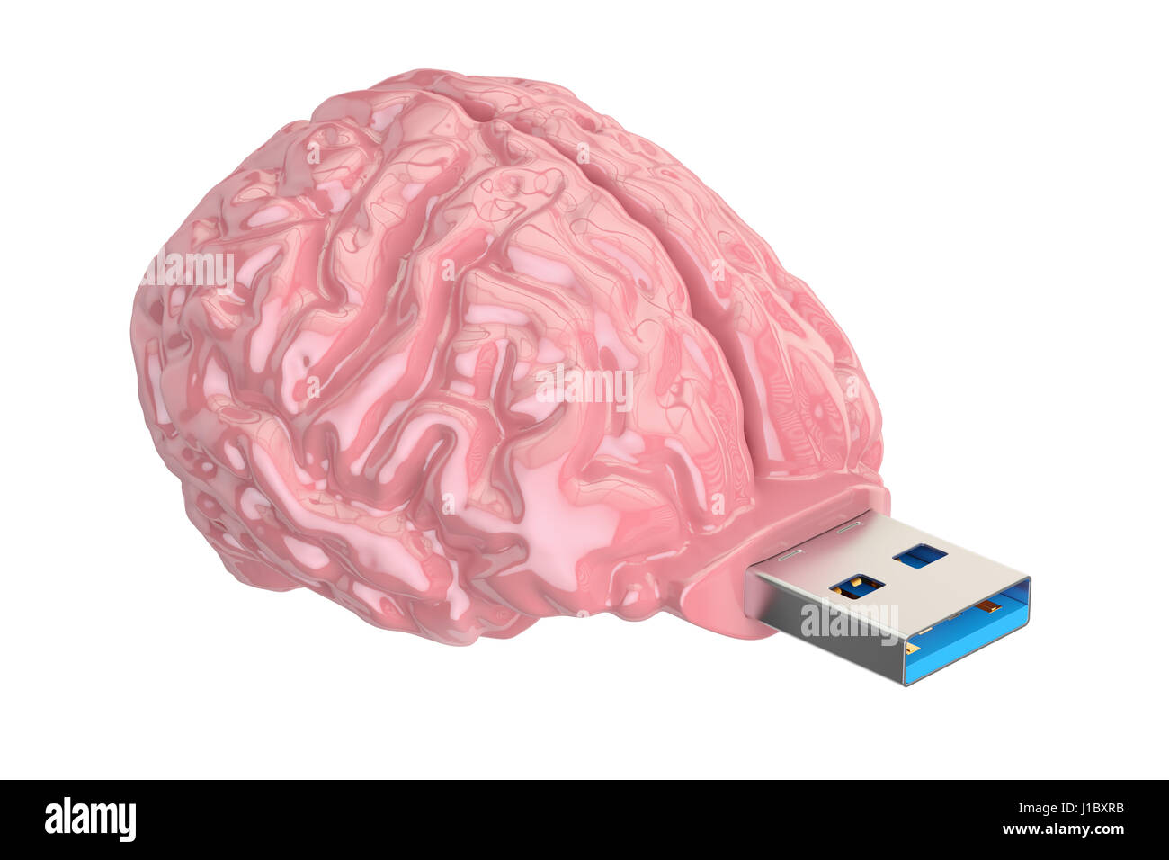 Cerveau USB flash drive, concept de connaissances. 3D illustration isolé sur fond blanc Banque D'Images