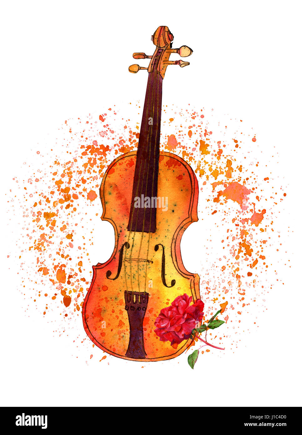 Aquarelle et encre violon et rose avec dessin picturaux textu Banque D'Images