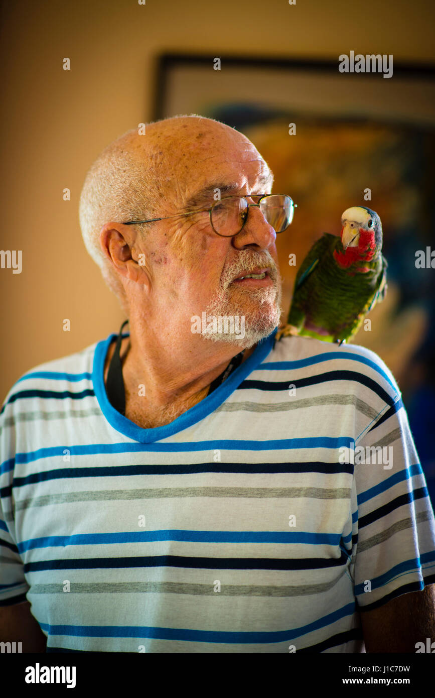Un vieil homme et son perroquet à La Havane Cuba Banque D'Images