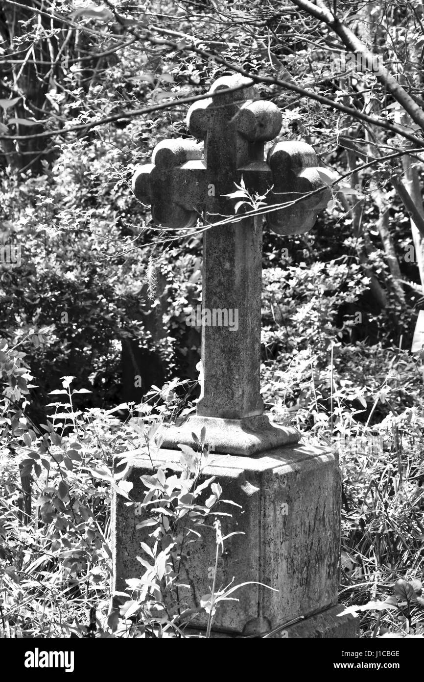 Charleston, Caroline du Sud jardin du souvenir avec cimetière envahi par la Banque D'Images