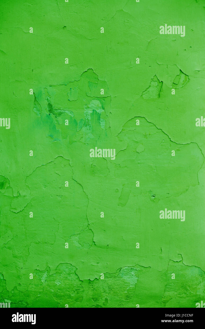 Green wall background ou texture Banque D'Images