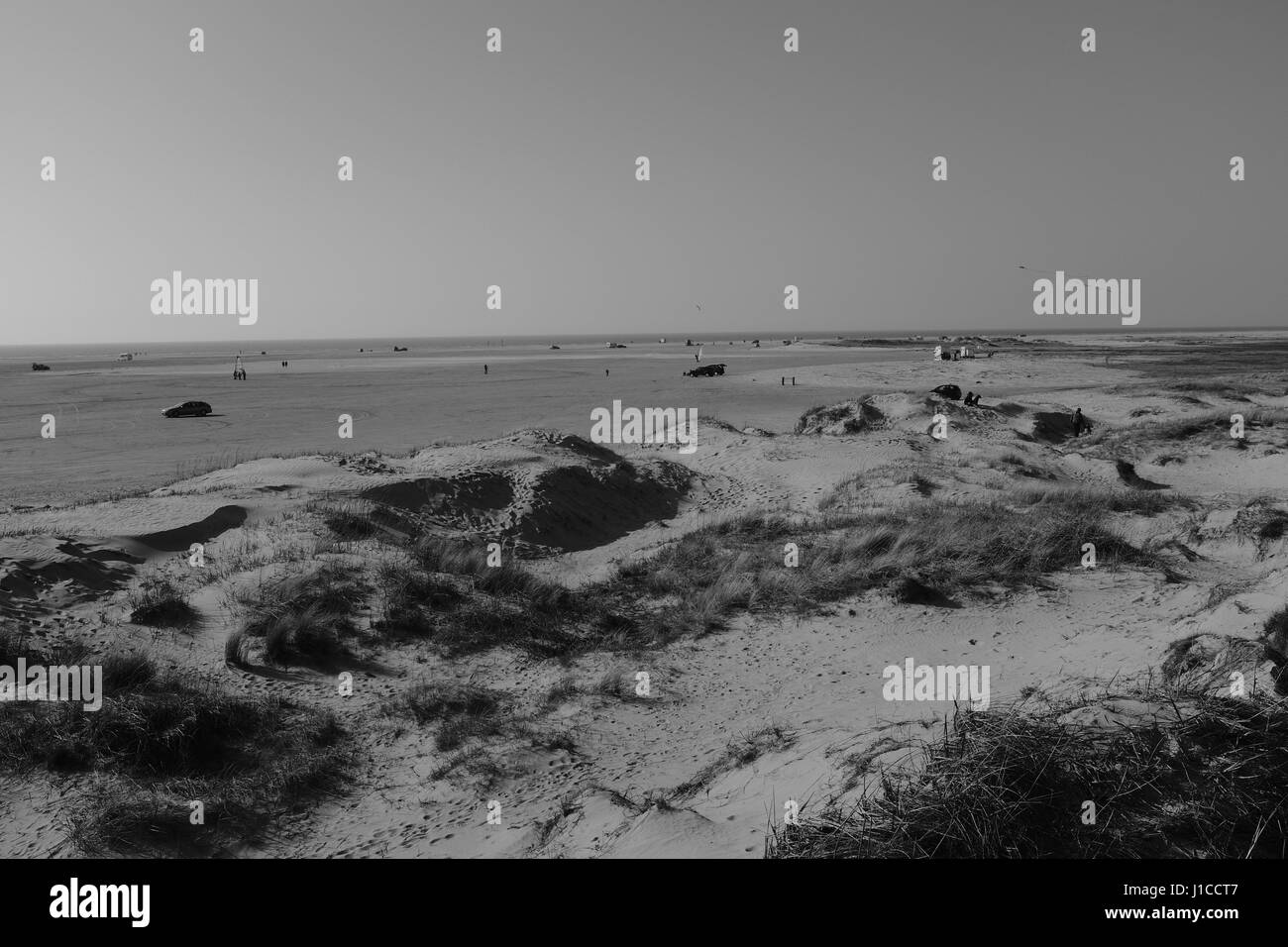 Dunes de sable et sur la plage, une île danoise dans l'UNESCO a désigné site du patrimoine mondial - La mer des Wadden, qui est le plus grand parc naturel du Danemark. Banque D'Images