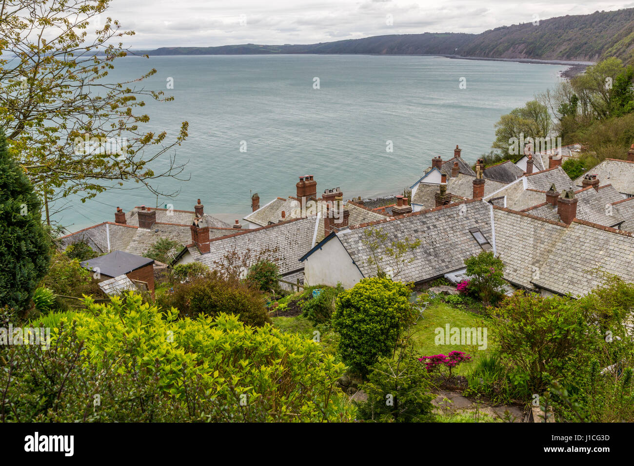 Un toit-seascape voir de près,UK,Angleterre,Devon Banque D'Images