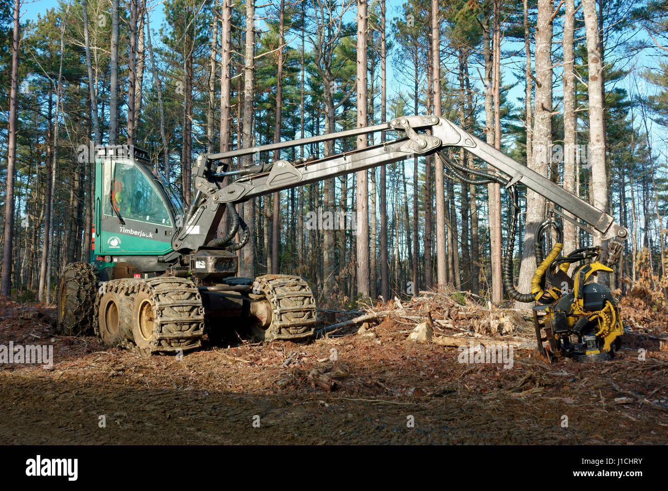 Une machine pour l'exploitation des arbres dans une forêt Banque D'Images