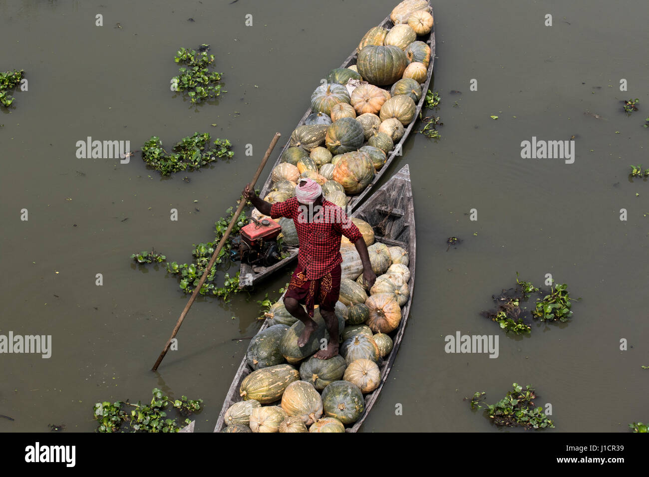 Les bateaux avec des citrouilles sont en attente de déchargement à Arial Beel. Munshiganj, au Bangladesh. Banque D'Images