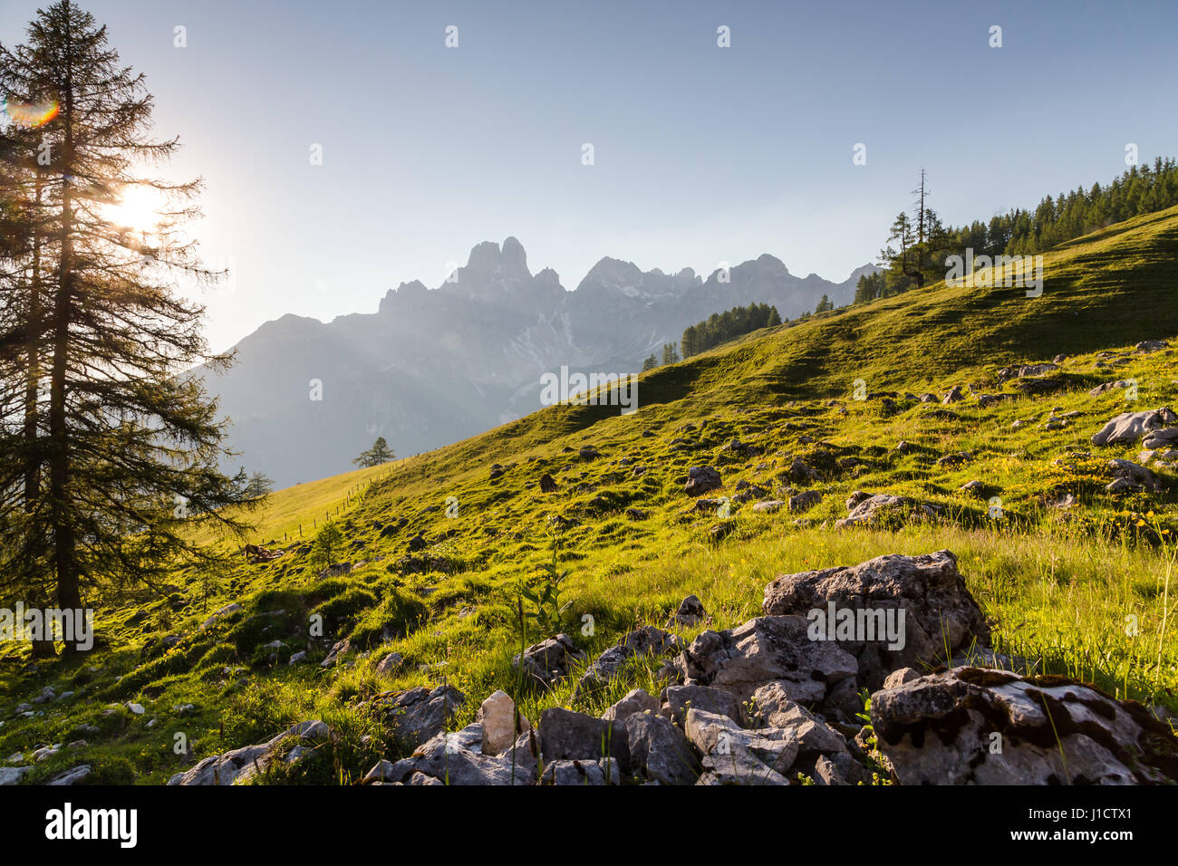 Coucher du soleil sur un pâturage d'été dans les Alpes autrichiennes Banque D'Images