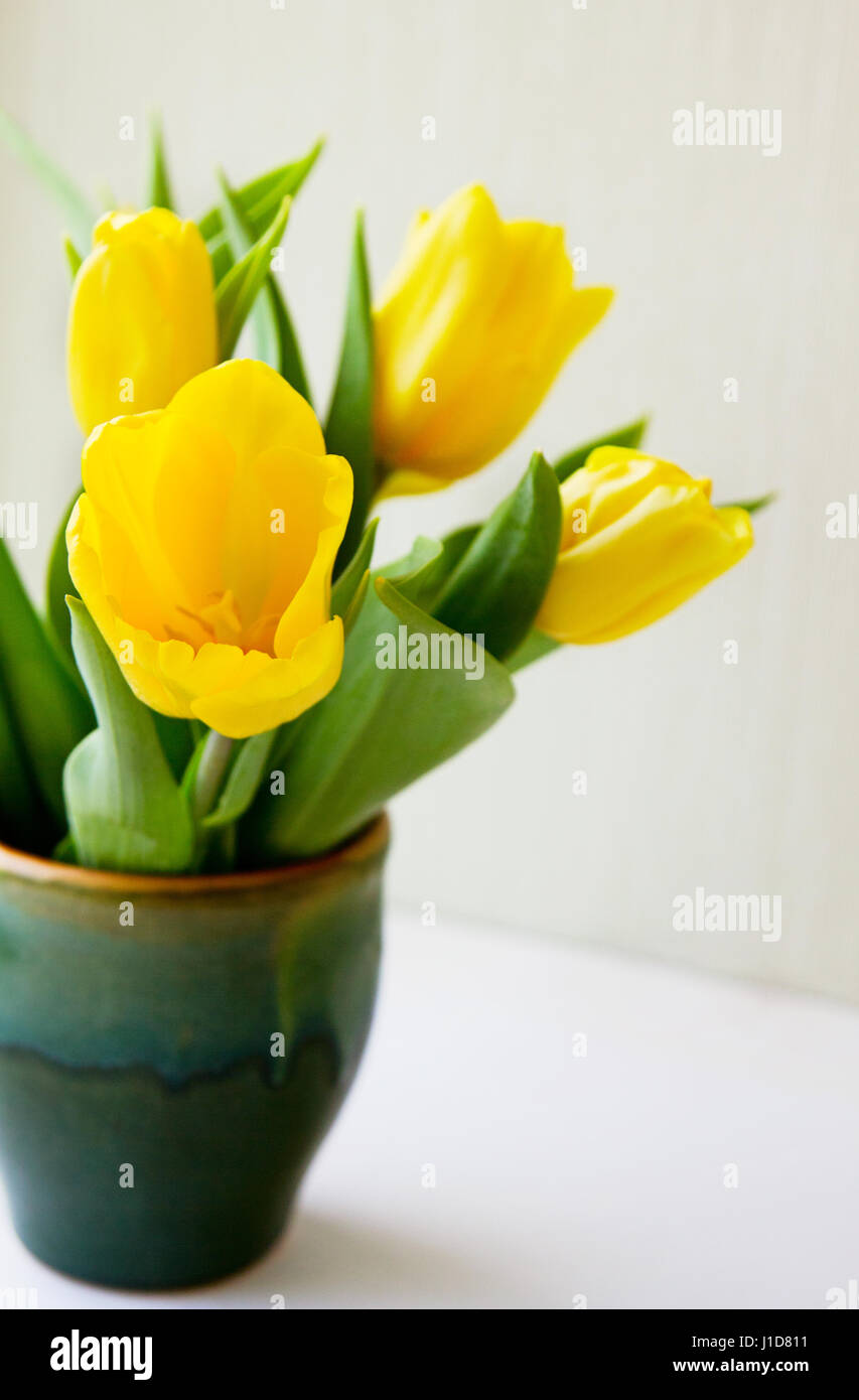 Bouquet de tulipes jaunes dans un vase en céramique sur une fenêtre, matin de printemps. Banque D'Images