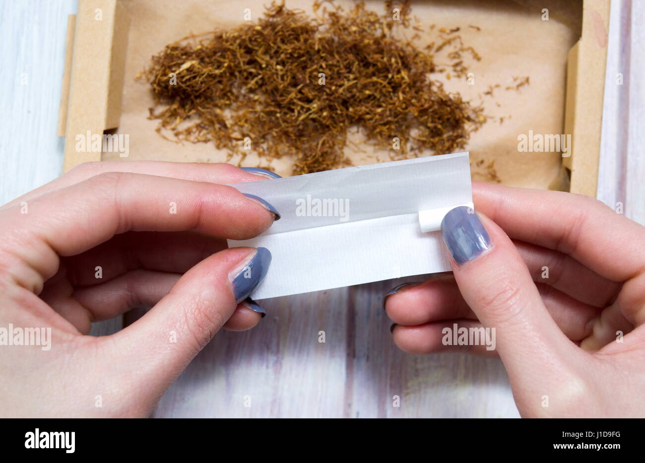 Femmes rouler des cigares avec du tabac séché Banque D'Images Femmes rouler des cigares avec du tabac séché Banque D'Images