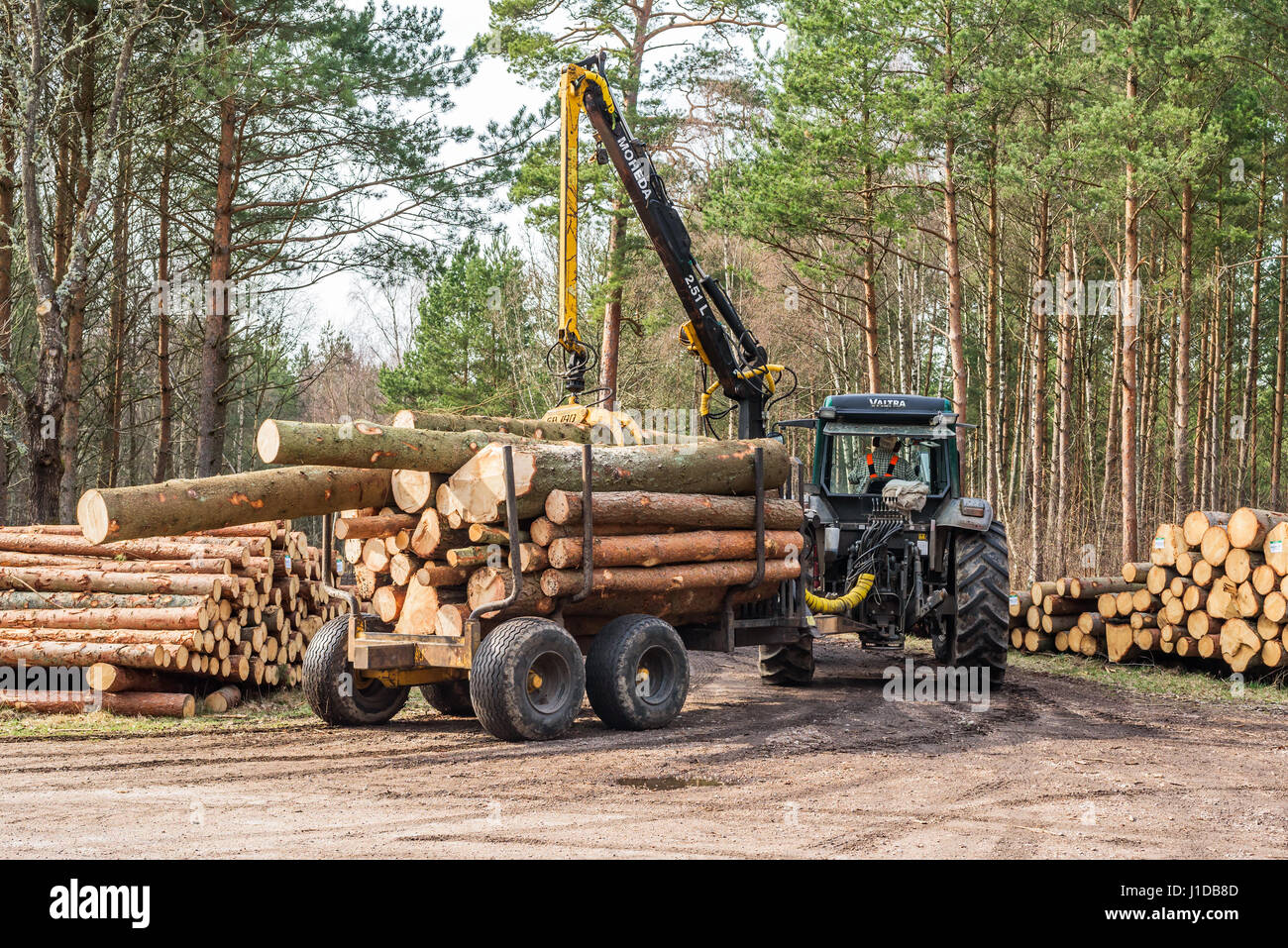 Ronneby, Suède - 1 Avril, 2017 : film de la journée en forêt. Tracteur avec remorque bois roulant sur une route de campagne à dans la forêt. Des piles de t Banque D'Images
