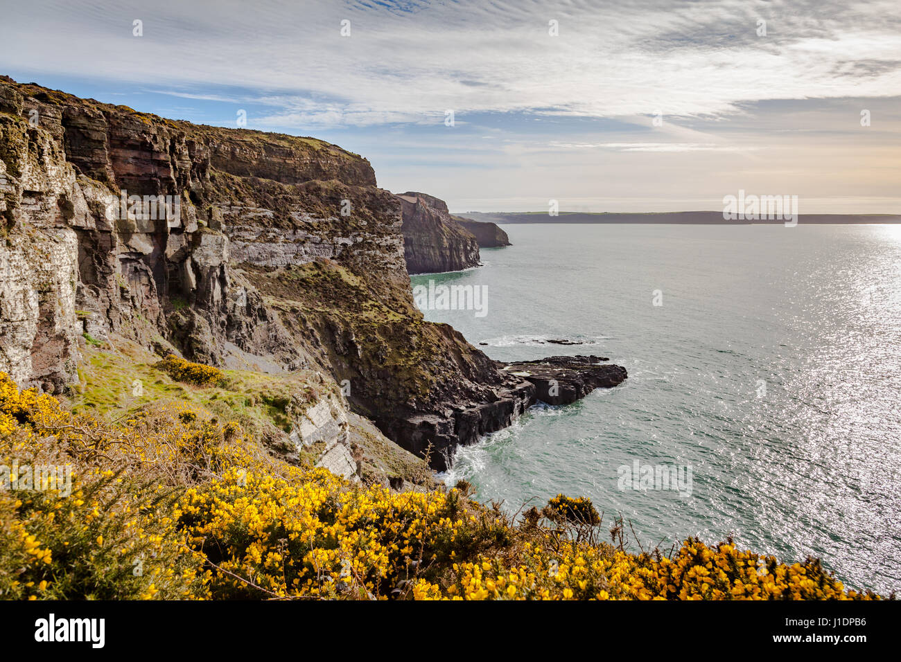 Les falaises côtières, St Davids, au Pays de Galles Banque D'Images