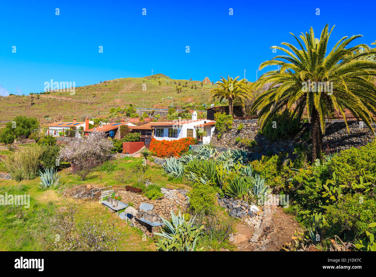 Maisons colorées du village de Targa paysage de montagne tropicale de l'île de La Gomera, Espagne Banque D'Images