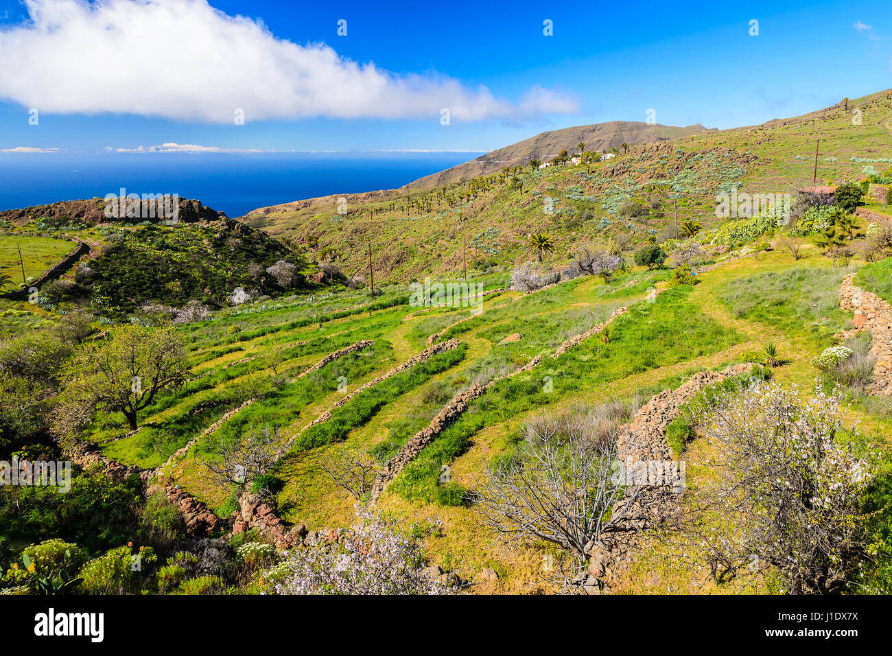 Green Mountain Valley dans la saison du printemps sur l'île de La Gomera, Espagne Banque D'Images