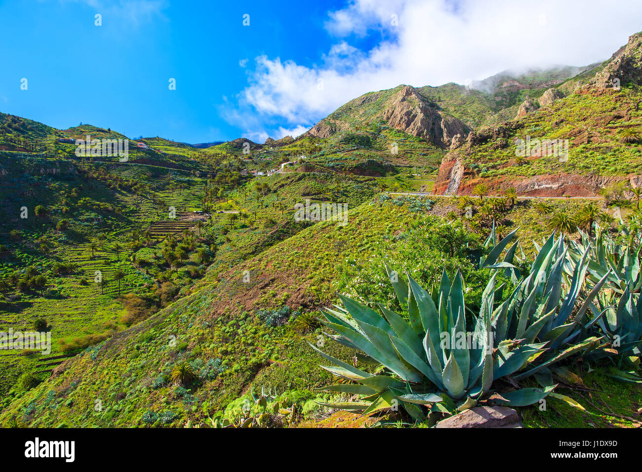 Montagnes et vallée verte sur l'île de La Gomera, Espagne Banque D'Images