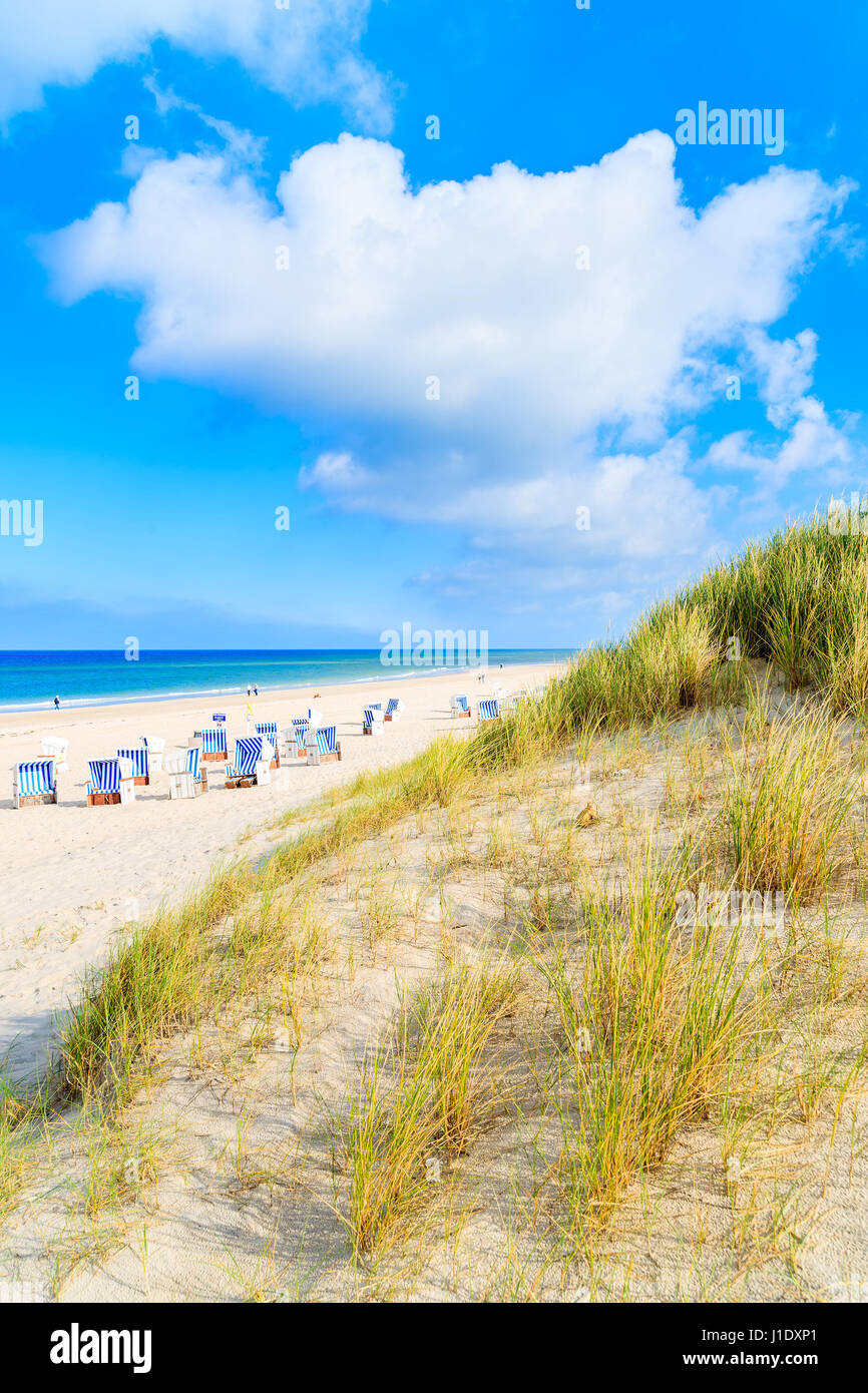 Vue sur la plage et des dunes de sable à Kampen village sur l'île de Sylt, Allemagne Banque D'Images