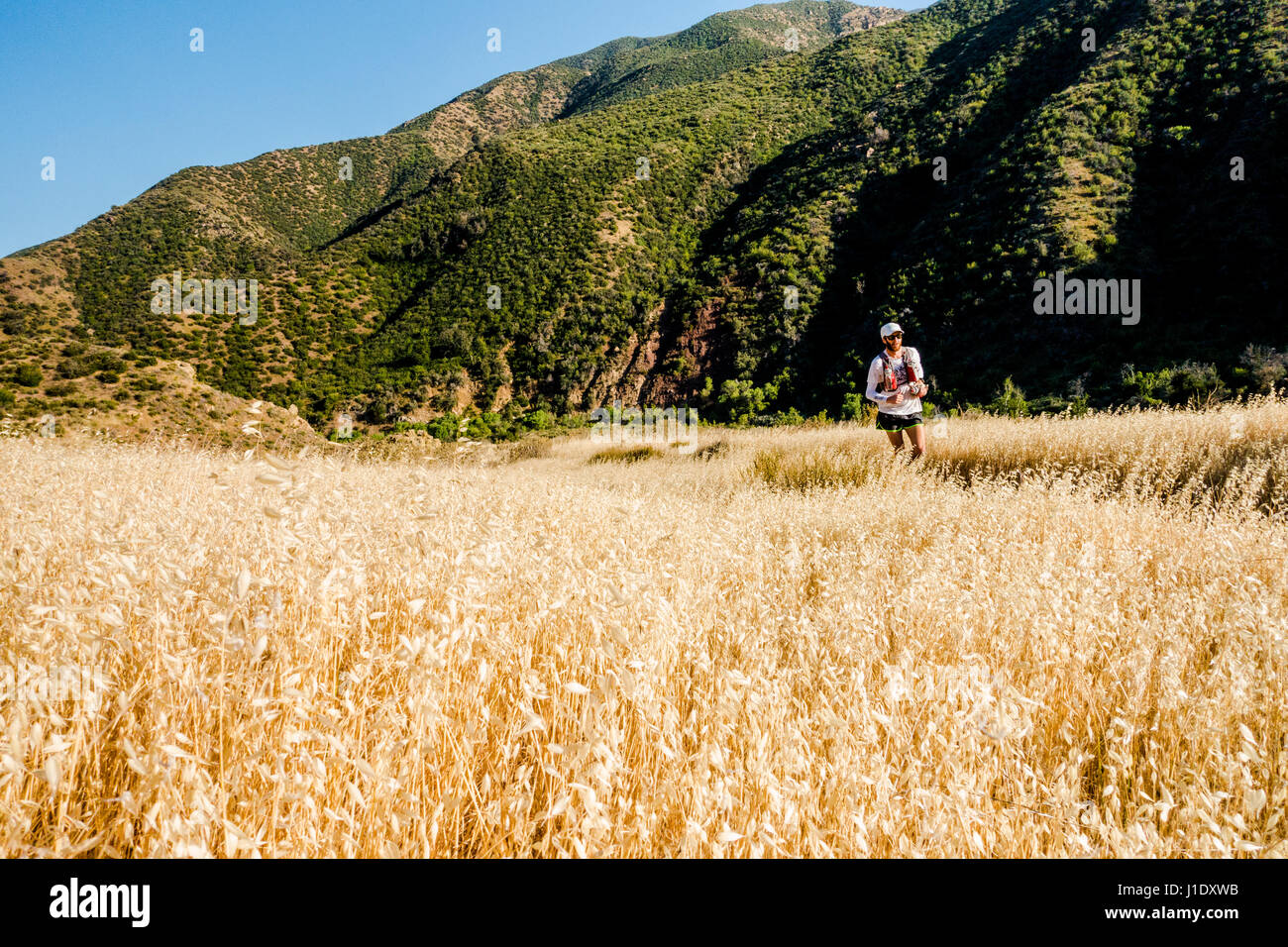Un Trail Runner avec tous les engins appropriés dans le Sespe Désert de Ojai, en Californie. Banque D'Images