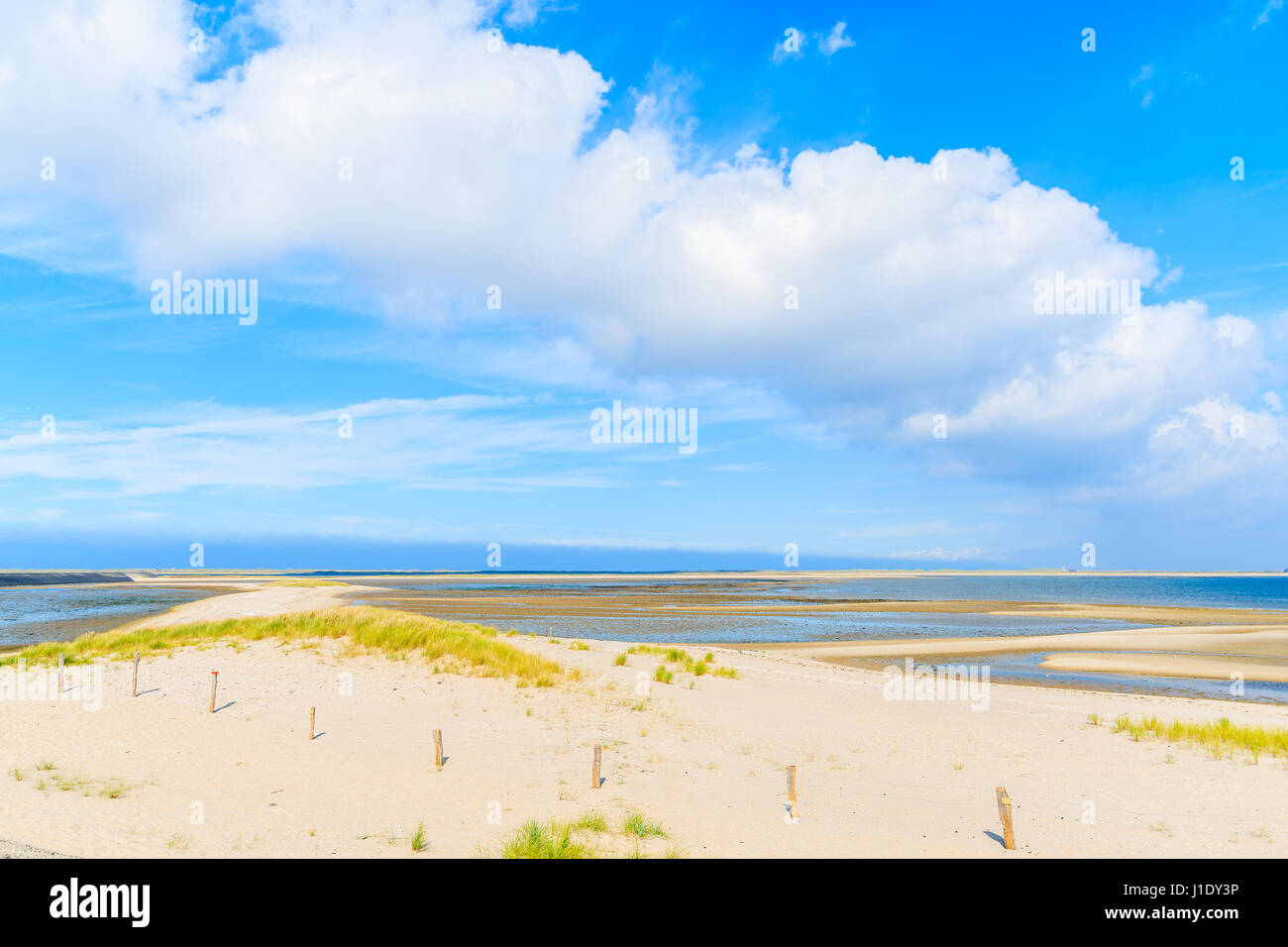 Dunes de sable sur l'herbe, plage liste l'île de Sylt, Allemagne Banque D'Images