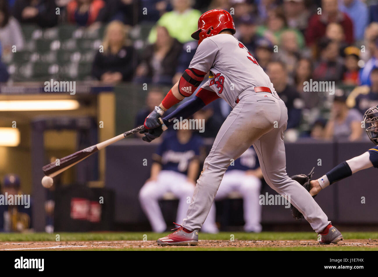 Milwaukee, WI, USA. Apr 20, 2017. L'arrêt-court, 2001 Aledmys Diaz # 36 brise son bat sur l'oscillation de la Ligue majeure de baseball pendant les match entre les Milwaukee Brewers et les Cardinals de Saint-Louis au Miller Park de Milwaukee, WI. John Fisher/CSM/Alamy Live News Banque D'Images