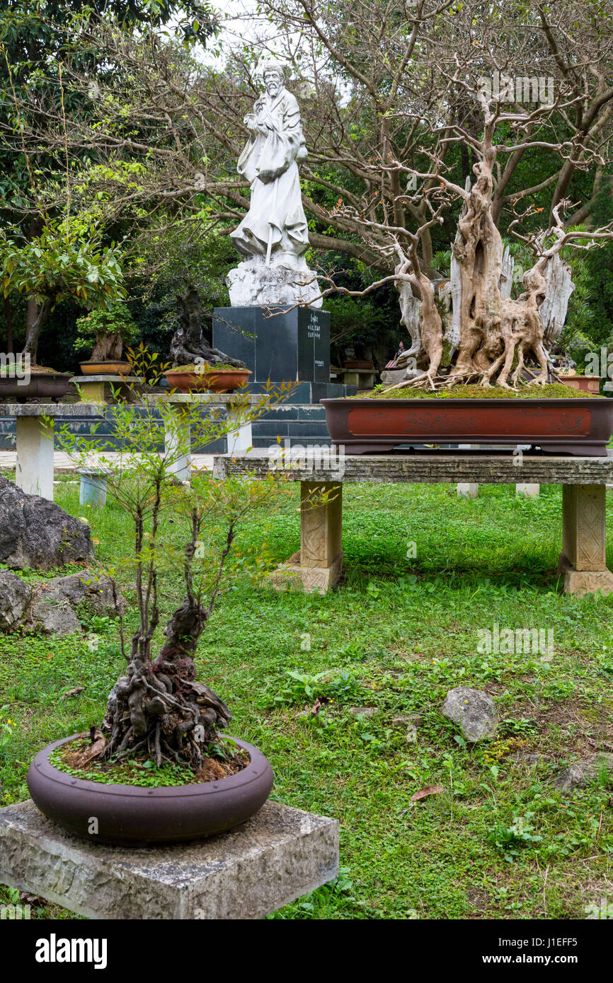 La province du Guizhou, en Chine. Jardin de bonsaïs, les fruits jaunes (arbre) Huangguoshu Waterfall Scenic Area. Banque D'Images