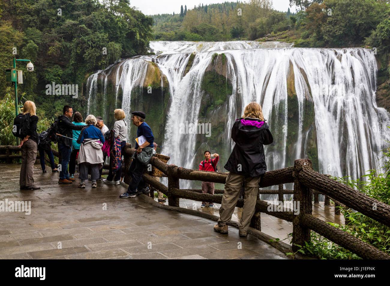 La province du Guizhou, en Chine. Les touristes à plate-forme d'observation, les fruits jaunes (arbre) Huangguoshu Waterfall. Banque D'Images