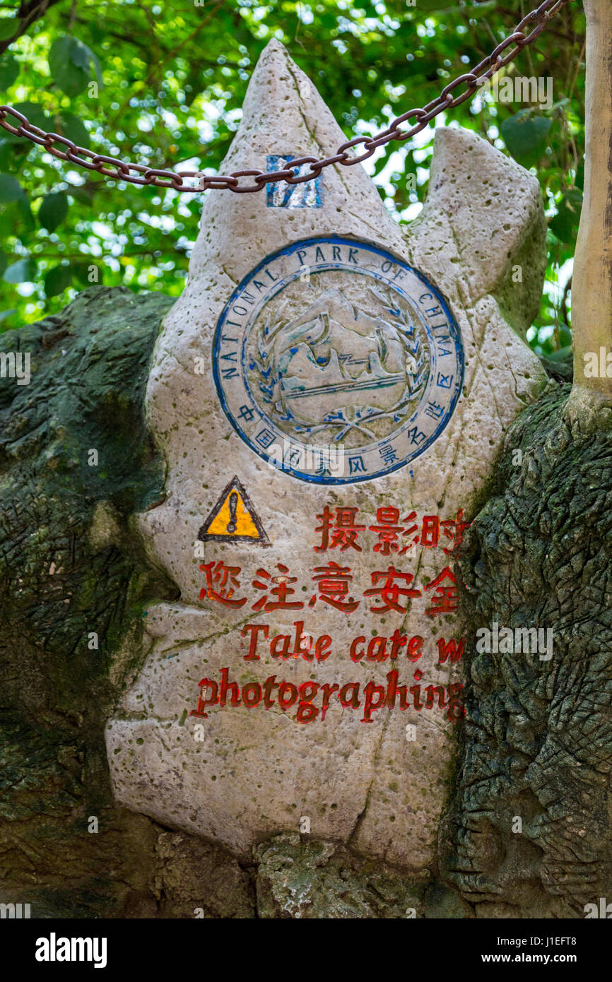 La province du Guizhou, en Chine. Les fruits jaunes (arbre) Huangguoshu Waterfall Scenic Area. Attention aux photographes : Attention ! (C.-à-d., ne pas être distrait). Banque D'Images
