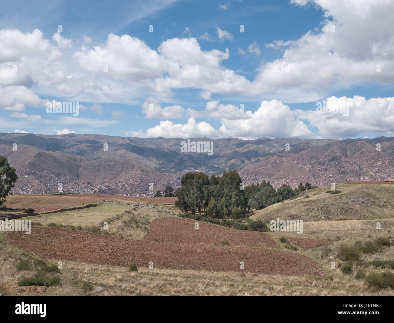 Plantation de pommes de terre à la Vallée Sacrée de Cusco, Pérou Banque D'Images