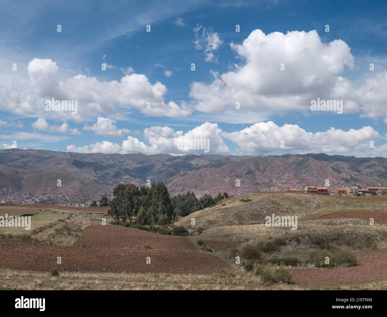 Plantation de pommes de terre à la Vallée Sacrée de Cusco, Pérou Banque D'Images