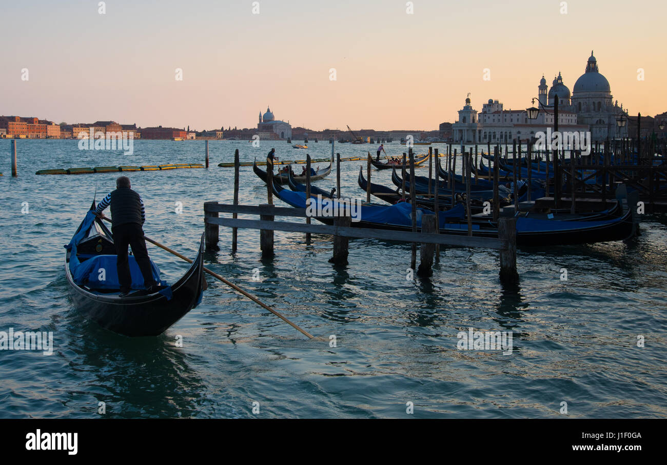 Leur direction gondoliers en gondoles Bassin St Marc à rejoindre la ligne de gondoles avec église de Santa Maria della Salute, Venise en arrière-plan Banque D'Images