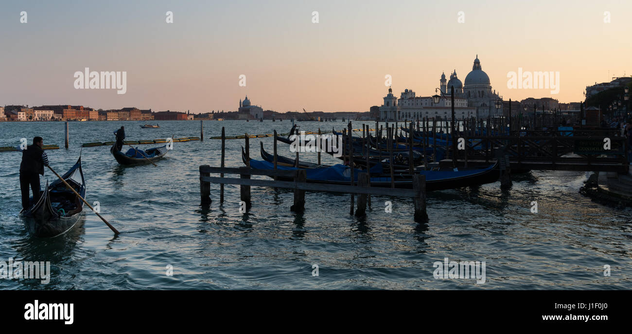 Leur direction gondoliers en gondoles Bassin St Marc à rejoindre la ligne de gondoles avec église de Santa Maria della Salute, Venise en arrière-plan Banque D'Images