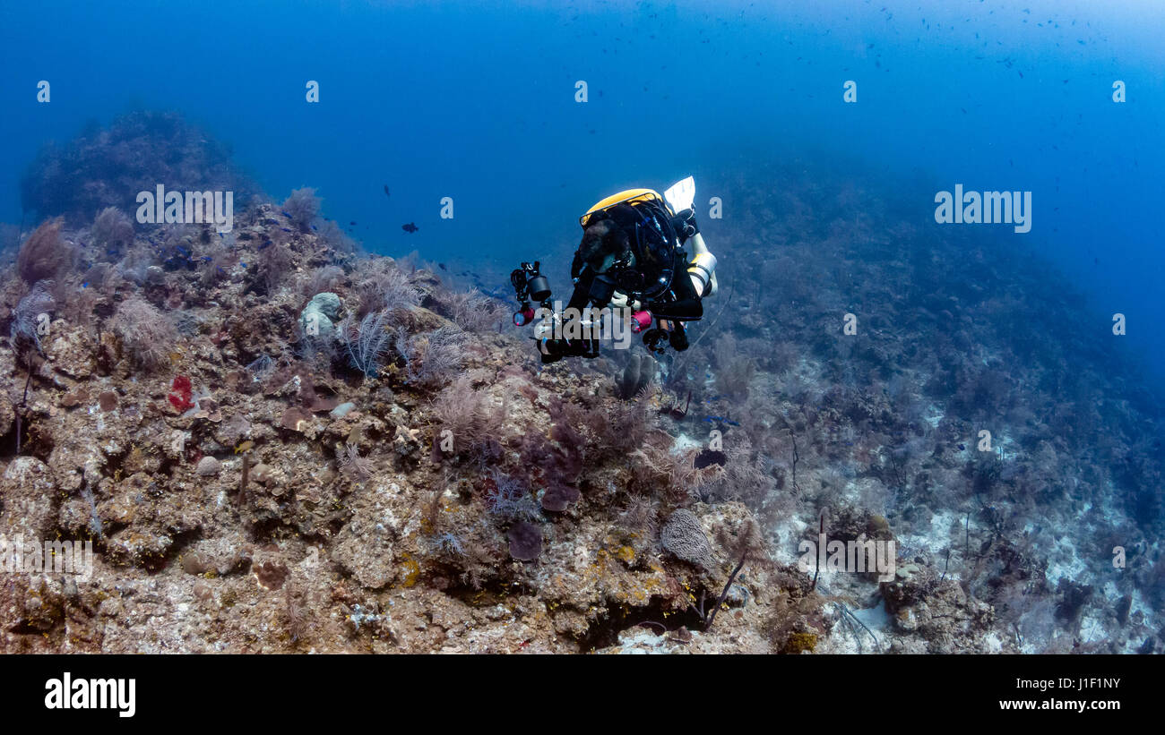 Un plongeur CCR en haut d'une falaise sous-marine Banque D'Images