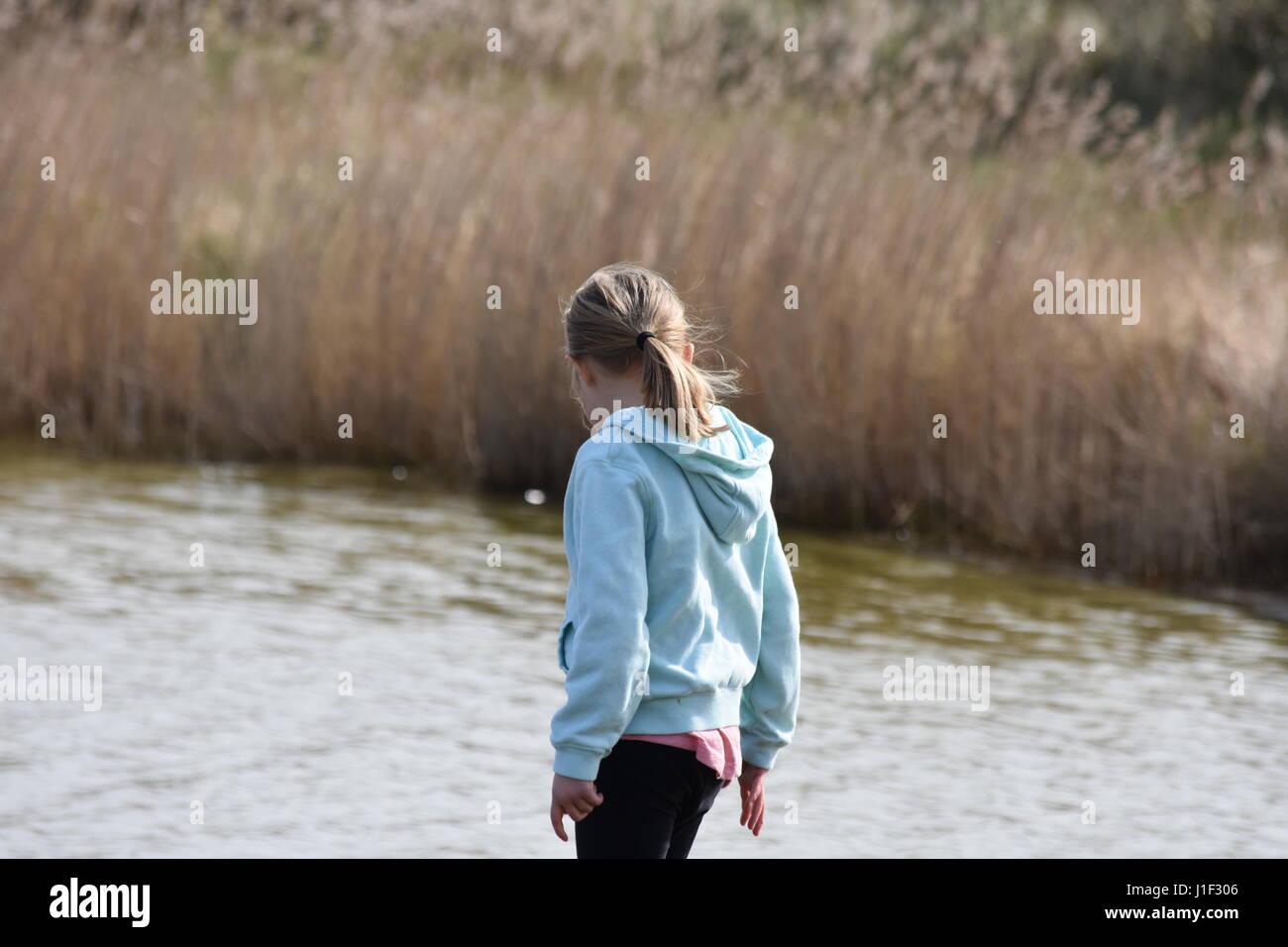 Girl et regardant le lac à King's Lynn, Norfolk, Royaume-Uni Banque D'Images