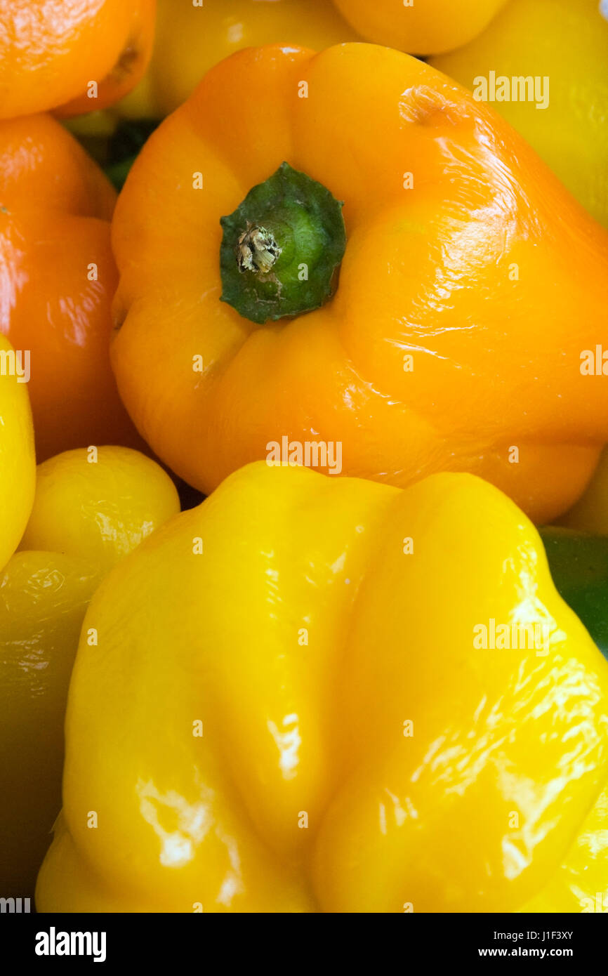 Poivrons jaunes et orange (Capsicum annuum) affiché dans un panier à un marché en plein air Banque D'Images