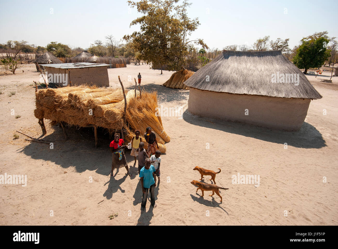Les peuples africains à un domaine d'herbe à bande de Caprivi, dans le nord de la Namibie Banque D'Images