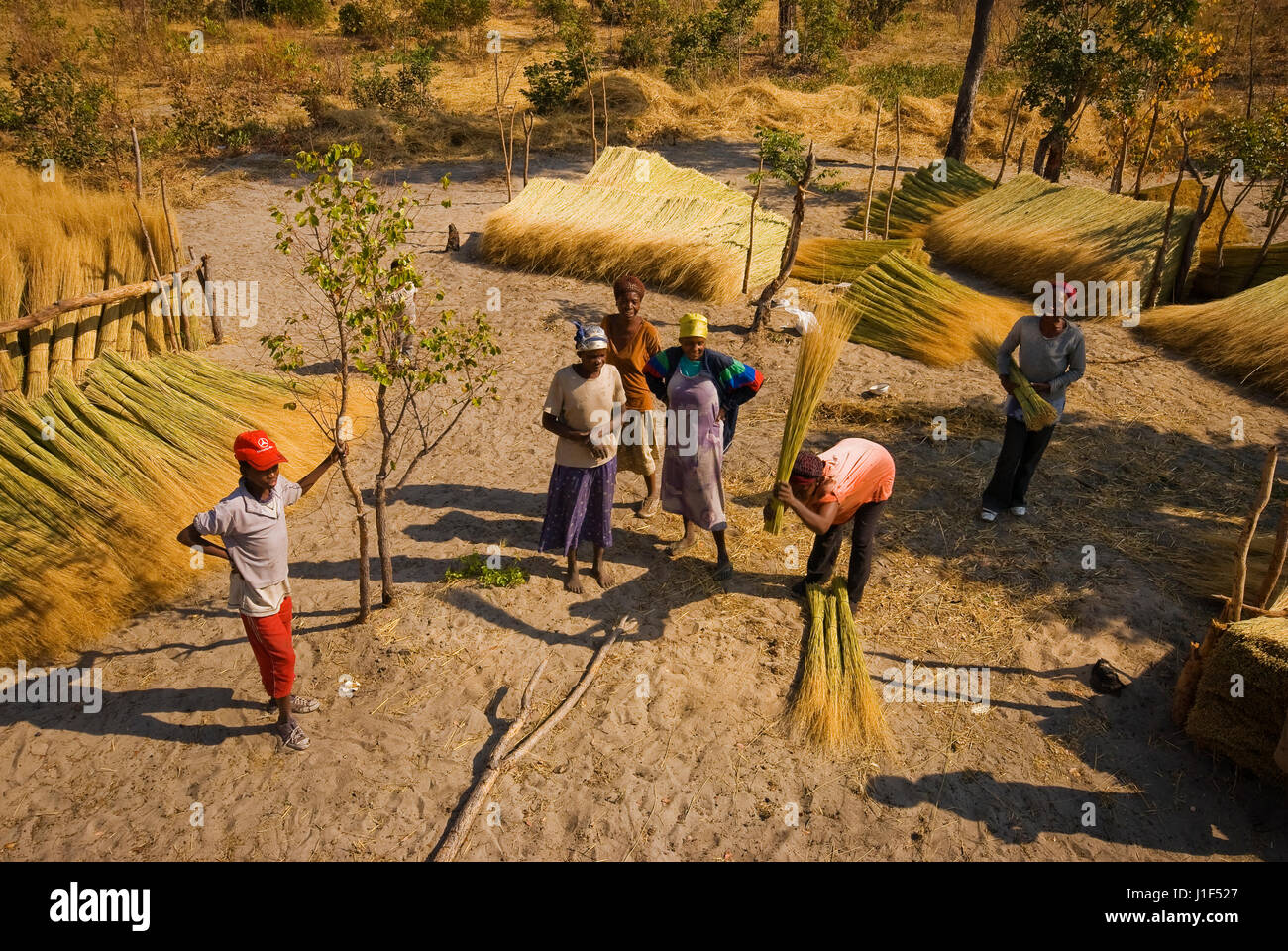 Les peuples africains à un domaine d'herbe à bande de Caprivi, dans le nord de la Namibie Banque D'Images