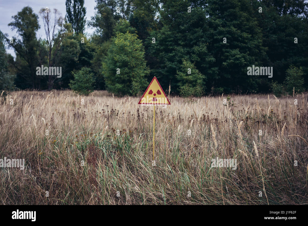 Radiations ionisantes panneau d'avertissement dans ce qu'on appelle forêt rouge zone entourant la centrale nucléaire de Tchernobyl, la zone d'aliénation, de l'Ukraine Banque D'Images