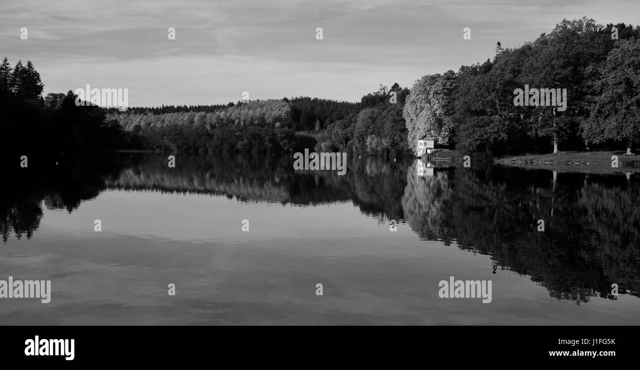 Réflexions d'automne dans un lac du Wiltshire. Banque D'Images
