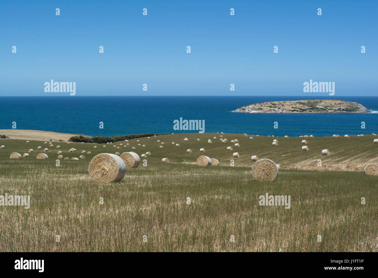 Domaine de grosses bottes de foin, situé à Kings Beach, Victor Harbor, péninsule de Fleurieu, Australie du Sud. West Island peut être vu dans la distance. Banque D'Images