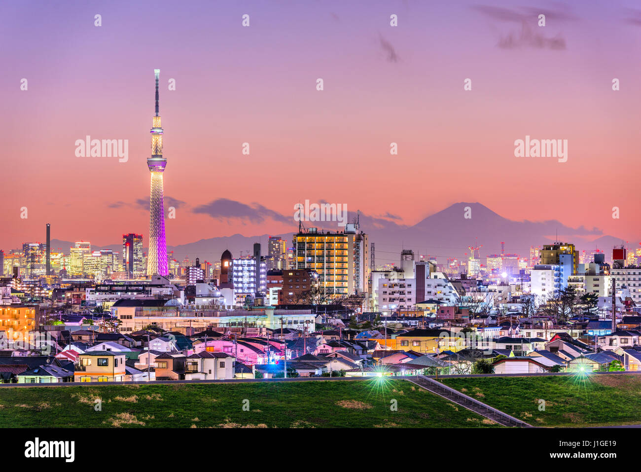 Tokyo, Japon skyline avec Mt. Fuji et la Skytree Tower. Banque D'Images