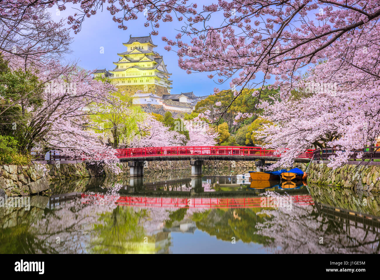 Himeji, Japon à Himeji Castle pendant la saison des cerisiers en fleur au printemps. Banque D'Images